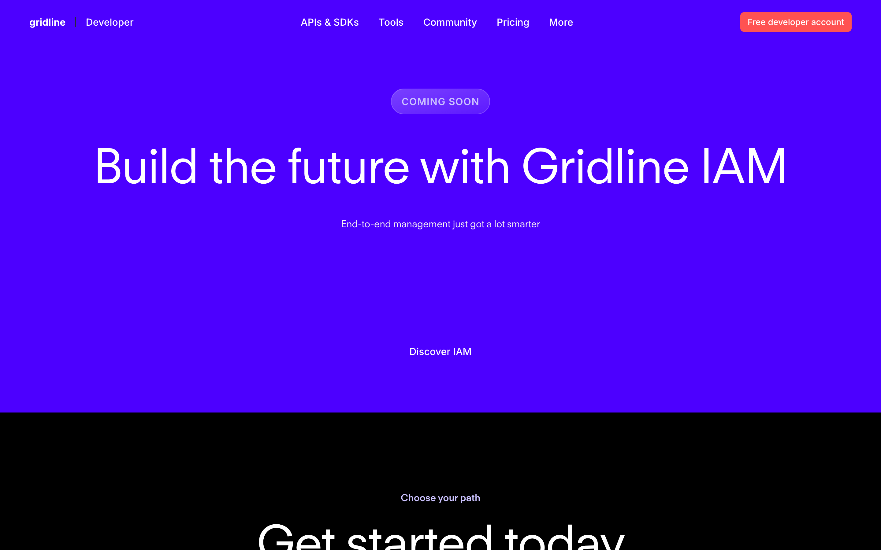 Gridline: developer platform preview